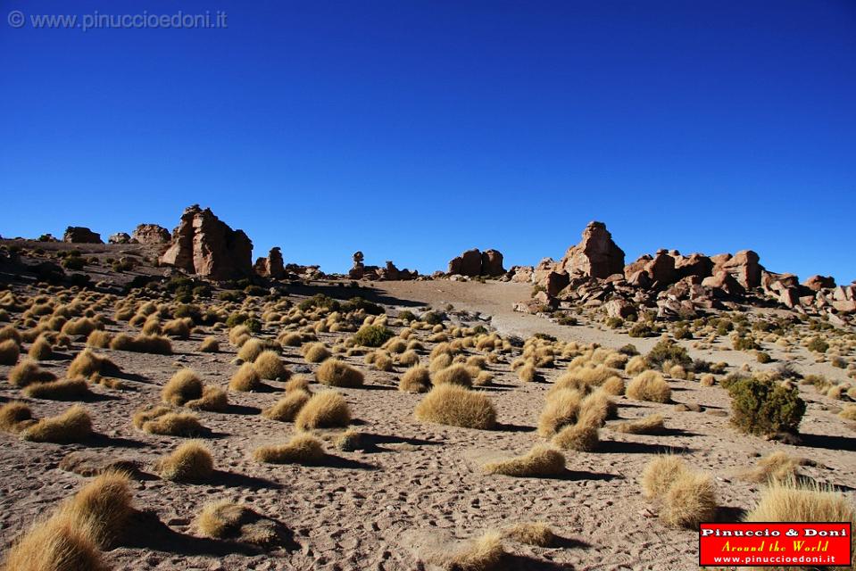 BOLIVIA - da Uyuni a Villamar - 32.jpg